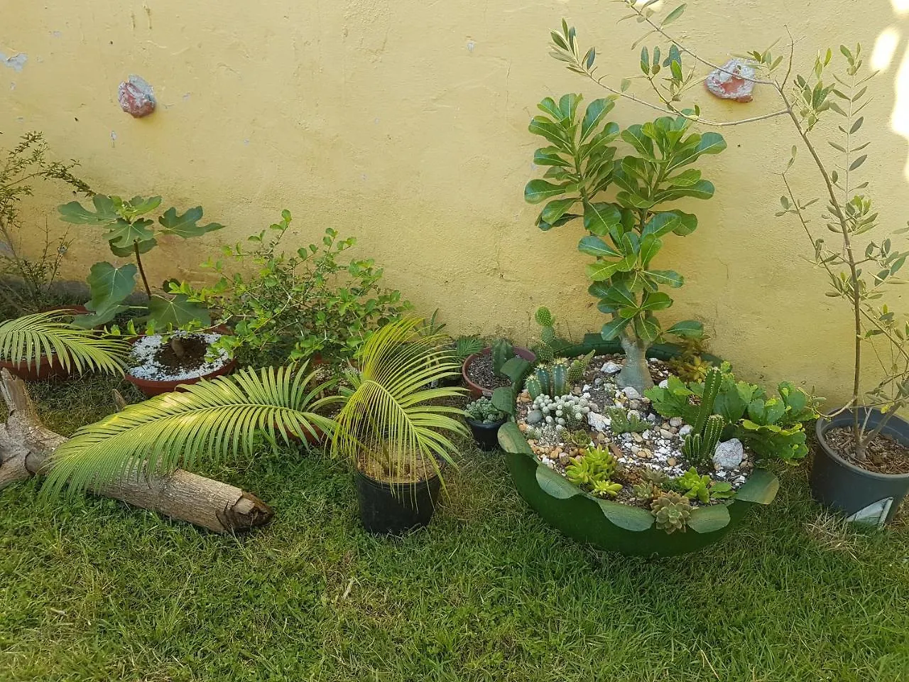 Be Happy Hostel Cabo Frio 0*,